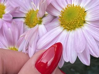 Euphorias - Sexe cam en vivo - 27951710