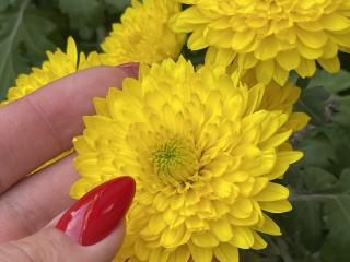 Euphorias - Live porn &amp; sex cam - 27951722