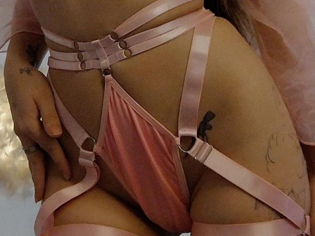Die pinke, mit Metallringen besetzte Slipserie von AdacGrey, die einen kleinen, pinken Satinkörbchen zeigt, der ihre Vulva bedeckt, mit Tattoos an ihrem linken Oberschenkel und der rechten Hüfte, und pinken Strümpfen an ihren Oberschenkeln..