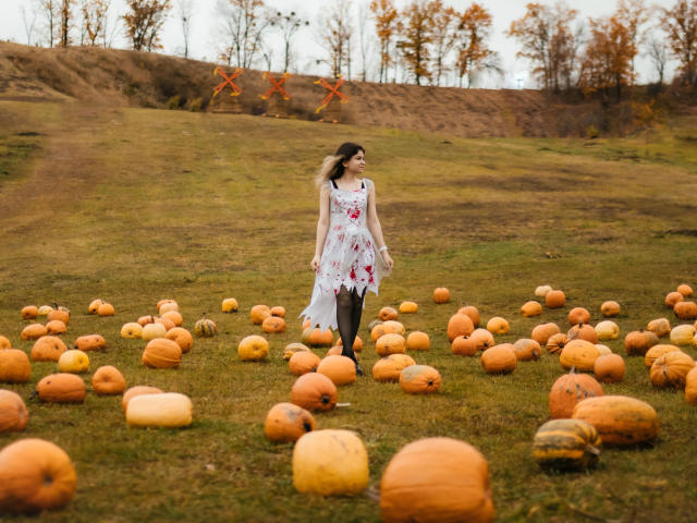 TinaRedly stands in a field of scattered pumpkins. She wears a white floral dress with red flowers, black tights, and black shoes. Her long brown hair flows to the side. The pumpkins, mostly orange with some yellow and green, are spread across the grassy field. In the background, orange ribbons are tied to leafless trees on a gentle hill. The overcast sky is grey. The composition uses a natural, slightly diagonal perspective. The image has a casual, autumnal vibe.