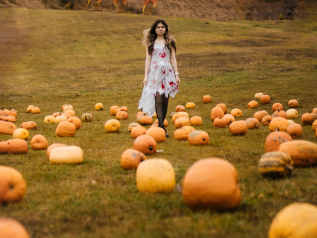 TinaRedly stands in a grassy field filled with scattered pumpkins. She wears a white, floral dress with red roses, black tights, and black shoes. Her long, wavy brown hair flows as she walks. The pumpkins are various sizes, mostly orange with some yellow and one striped. The grass is green with some brown patches. The image has a warm, autumnal tone. Her dress is slightly lifted, revealing a hint of black tights. The field extends into the background.