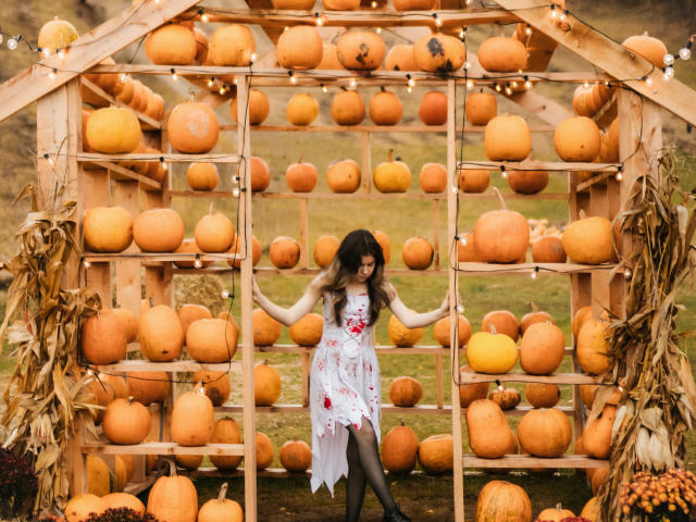 TinaRedly stands in a wooden pumpkin display frame, surrounded by orange pumpkins. She has long, wavy brown hair, wears a white dress with red floral patterns, and black stockings. Her hands are on the frame, slightly leaning to one side. The frame is adorned with string lights, and dried corn is on either side. The image has a rustic, autumnal vibe with a focus on the pumpkins and TinaRedly's central position.