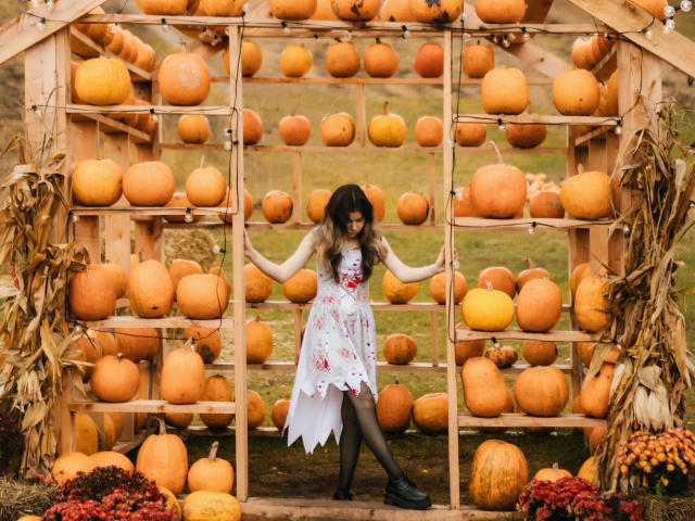 TinaRedly, con cabello castaño largo, un vestido blanco con estampado floral, medias negras y zapatos planos negros, está de pie frente a un marco de madera con forma de calabaza, rodeada de calabazas naranjas..