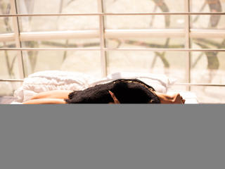 EricaSiin - Live porn &amp; sex cam - 28069001