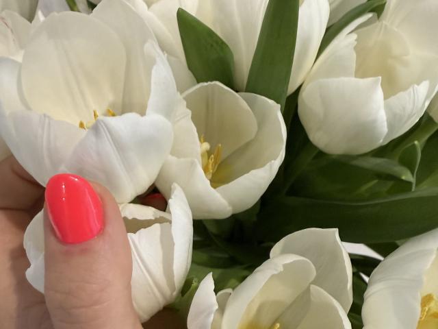 Elionoria's pink nail holds a white tulip, her shiny nail contrasting with the flower's delicate petals and green leaves.