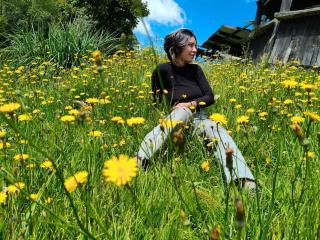 Ver la ficha detallada de AluDamn