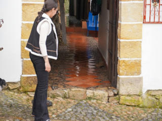 Lásd a Mllevv teljes profilját