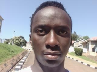 Lásd a Delmark teljes profilját