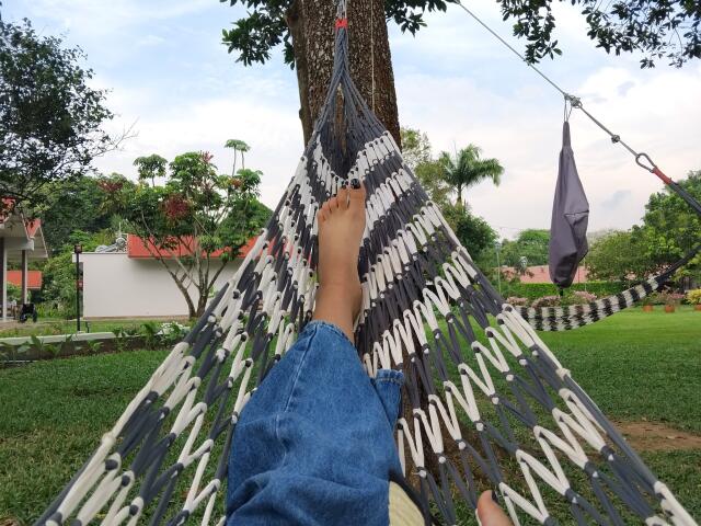 Mllevv's bare foot and blue jeans are in a black-and-white striped hammock, hanging from a tree with green grass and trees in the background.