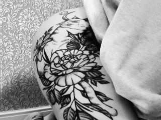 Ver la ficha detallada de Niferttiti