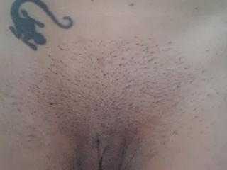 Ver a ficha detalhada de AdelaShery