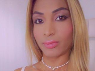 См. подробные сведения о модели DreamCatcherTS