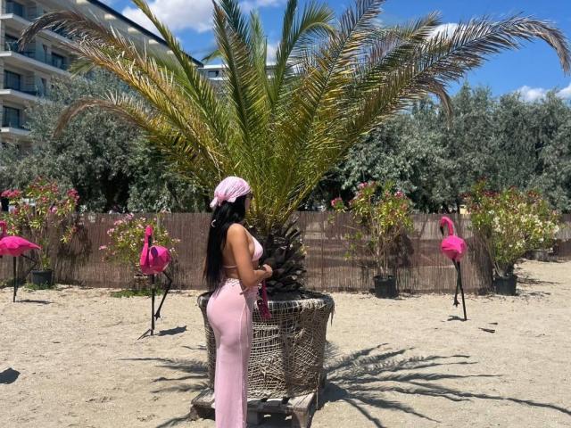 RavennaDarcy with long black hair, pink headscarf, pink dress, big ass, standing beside palm tree, flanked by flamingos in sunny beach setting.