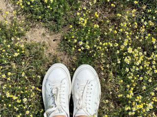 Freile - сексуальная веб-камера в реальном времени - 28237727