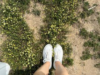 Freile - Camera khiêu dâm &amp; quyến rũ trực tiếp - 28237763