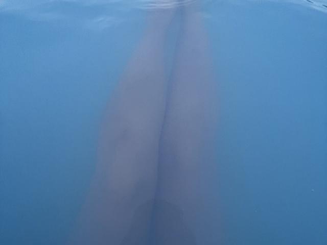 Sambucka - Live porn &amp; sex cam - 28282742