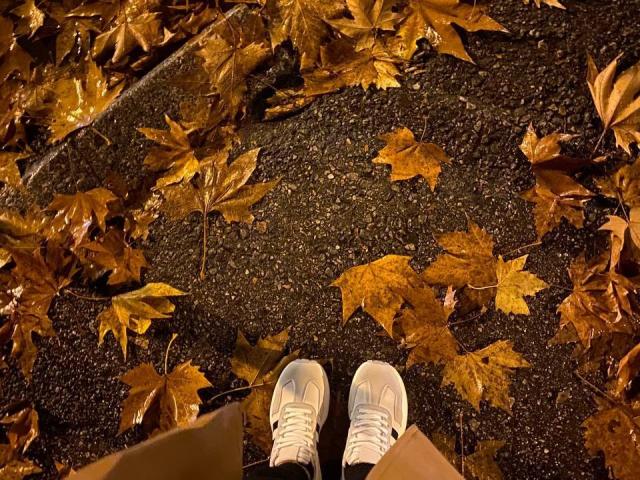 LunaDiva - Live porn &amp; sex cam - 28284035