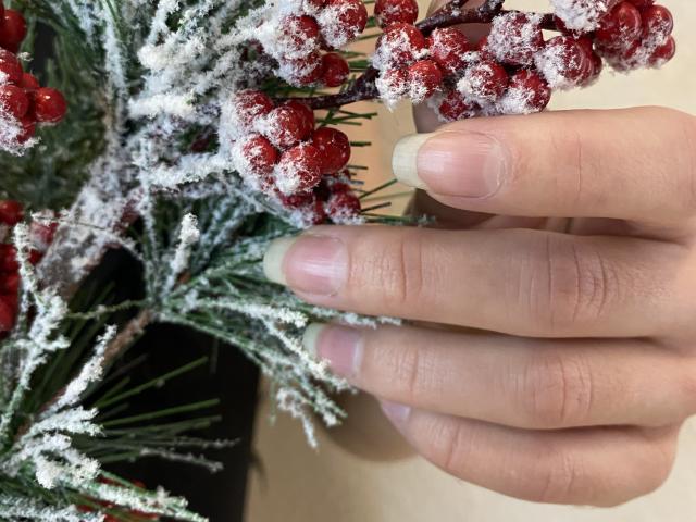 La mano di Amberia, con unghie chiare e curate, tocca bacche rosse ghiacciate e aghi di pino verdi. Le sue dita sono leggermente incurvate, mostrando unghie naturali e non smaltate..