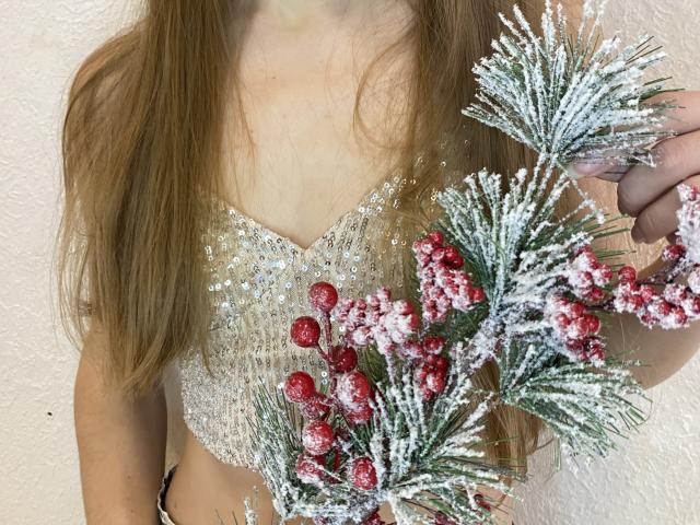 Amberia with long brown hair, wearing a sparkly silver top, holding a frosty pine branch with red berries, her small tits barely visible, against a beige wall.