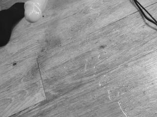 OrianaLaFrancaiseの詳細情報を見る