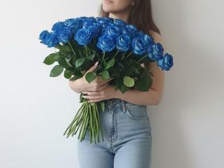 Strogoffの詳細情報を見る