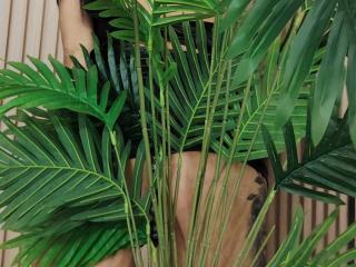 NenaBlackの詳細情報を見る