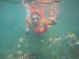 DahianaScottの詳細情報を見る