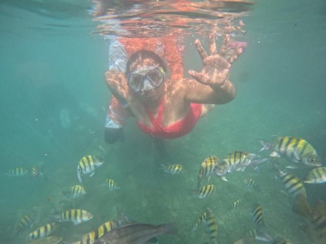 Fotografía subacuática de SoffieMature con un traje de baño rojo, máscara de snorkel y aletas, con las manos levantadas, rodeada de peces rayados amarillos y negros. Los senos de SoffieMature son visibles por encima del agua..