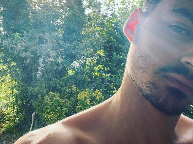 JamesFrenchie, shirtless, sunlit, with a dark mustache and goatee, partially visible face, green bushy background, light filtering through leaves, slightly blurred, upper chest and face.