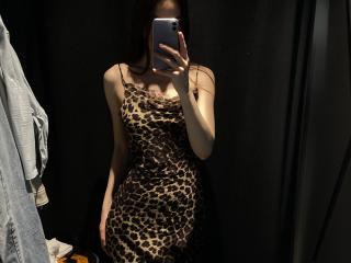 Fișa detaliată a Valnes