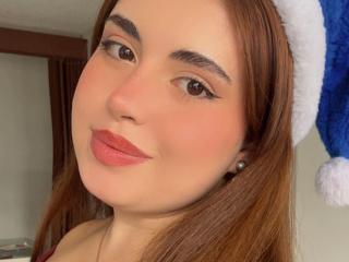 Fișa detaliată a VicluX