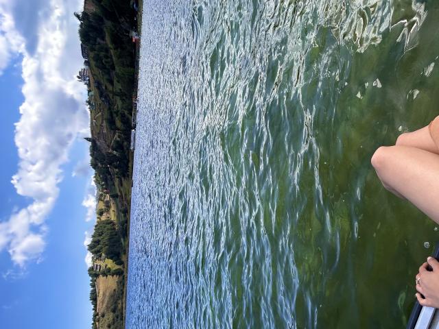 ThaliaCollins - Live porn &amp; sex cam - 28442999