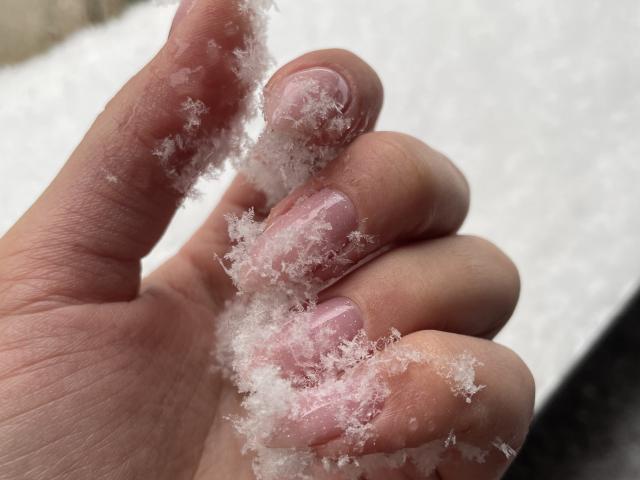 Euphorias - сексуальная веб-камера в реальном времени - 28460834