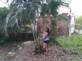 PauletteLoveX - Live porn &amp; sex cam - 28462208