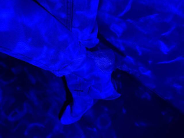 Siyana - Live porn &amp; sex cam - 28468325