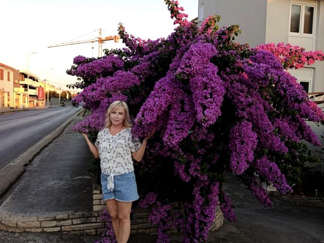 LaurenWishy stands in front of a dense bush of vibrant purple and pink flowers. She has blonde hair, wears a white floral shirt tied at the front and blue denim shorts. Her arms are slightly raised, hands touching the flowers. The background includes a building, street, and construction crane. The light is natural, with shadows indicating early evening. The flowers dominate the right side, while LaurenWishy is centered. Slight blur on the left background.