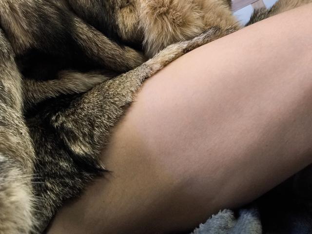 OrianaLaFrancaise - Live porn &amp; sex cam - 28476353