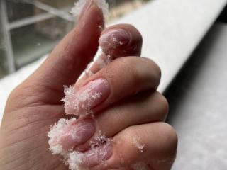 Se dtaljerede oplysninger for Euphorias