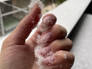 Xem hồ sơ đầy đủ của Euphorias