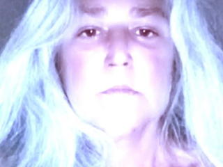 Volaria'in detaylı sayfasını gör