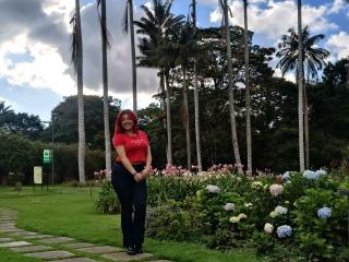 RousseColliinss'in detaylı sayfasını gör