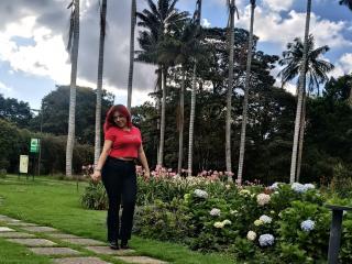 Fișa detaliată a RousseColliinss