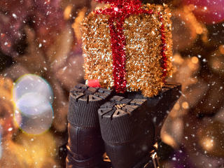 RoseNichols'in detaylı sayfasını gör