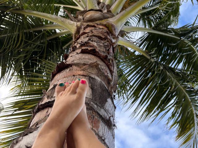 Chleo-hot's feet with pink and green toenail polish are crossed and resting against a rough, brown palm tree trunk with green palm fronds above.