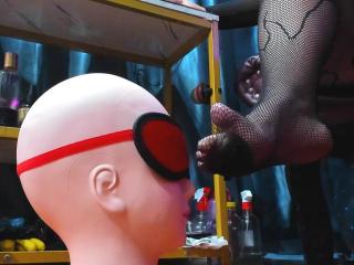 Ver la ficha detallada de LexyDom