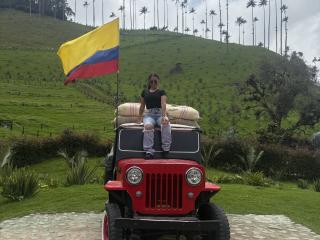 HikariChloe'in detaylı sayfasını gör