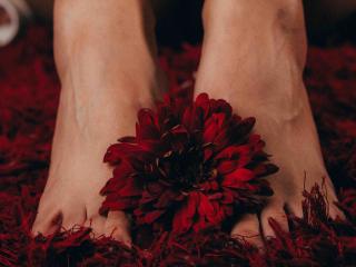 См. подробные сведения о модели SamanthaCorine