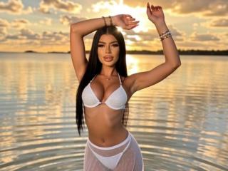 См. подробные сведения о модели LeaSolene