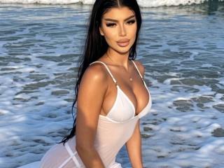 См. подробные сведения о модели LeaSolene