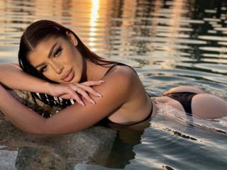 См. подробные сведения о модели LeaSolene